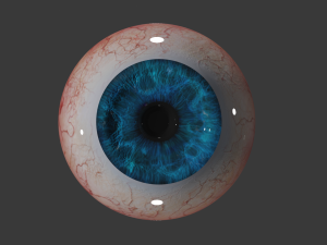 realistic eye 3D Model