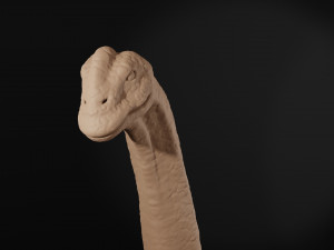argentinossauro bust 3d Modelo de Impressão 3D
