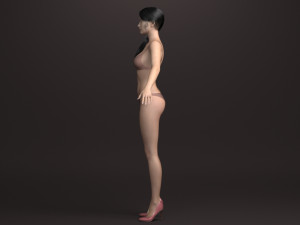 Cinderella ii Modèle 3D