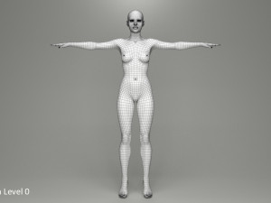 Doris Model 3D