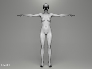 Doris Model 3D