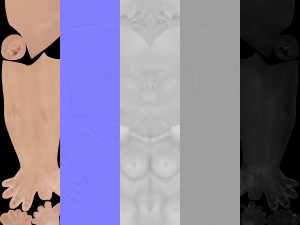 Doris Model 3D