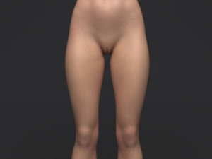 Doris ii 3D मॉडल