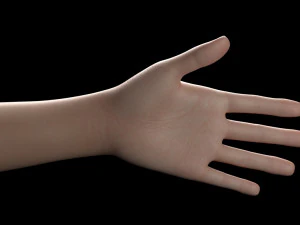 D&oacute;ris II Modelo 3D