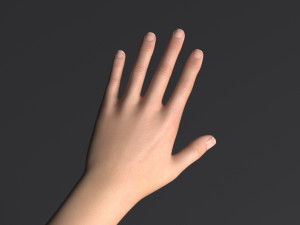 Doris ii 3D मॉडल