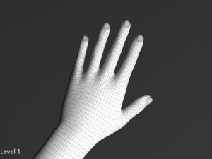 Doris ii 3D मॉडल