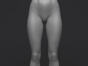 Doris ii 3D मॉडल