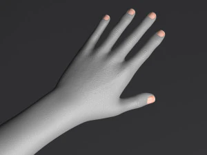 D&oacute;ris II Modelo 3D