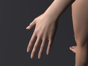 Lara 3D मॉडल
