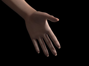 Lara 3D मॉडल