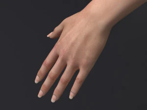 Lara II Modèle 3D