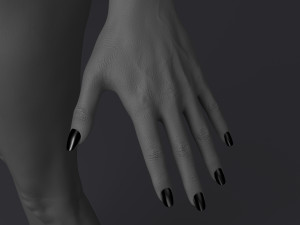 Lara ii Modèle 3D