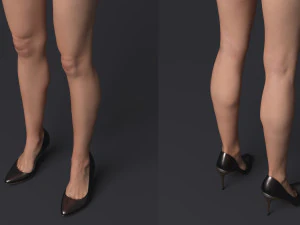 Lara iii 3D Model