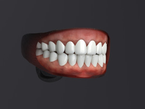 Lara iii 3D Модель