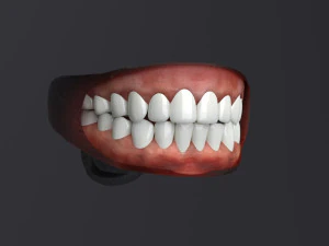 Lara iii 3D Model