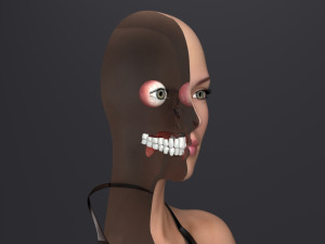Lara iii 3D Модель