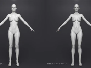 Lara iii 3D Model