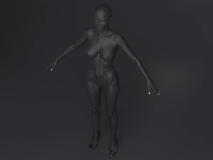 Lara iii 3D Model