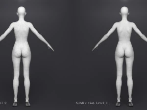 Lara iii 3D Model