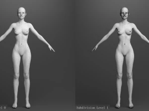 Rigged princess ann 3D Model