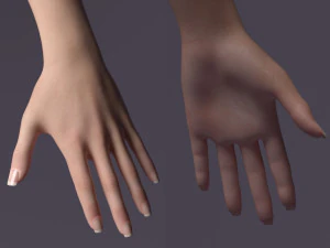 Rigged victoria 3D Model