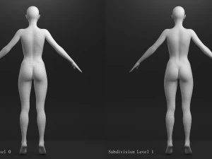 cole&ccedil;&atilde;o de modelos femininos 3d vol 01 Modelo 3D