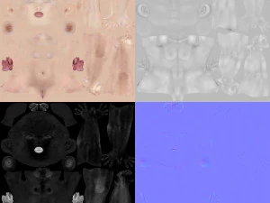 cole&ccedil;&atilde;o de modelos femininos 3d vol 01 Modelo 3D