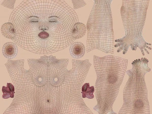 cole&ccedil;&atilde;o de modelos femininos 3d vol 01 Modelo 3D