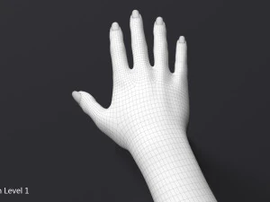 cole&ccedil;&atilde;o de modelos femininos 3d vol 01 Modelo 3D