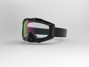 ski goggles 3D Model