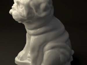 little buldog 3D Model