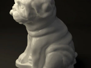 little buldog 3D Model