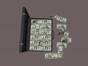 suitcase with money low-poly 3D Model