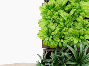 decorazione vegetale Modello 3D