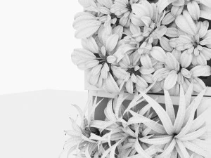 decorazione vegetale Modello 3D