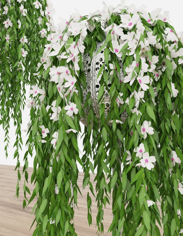 plant46 3D Модель .c4d .max .obj .3ds .fbx .stl .blend 