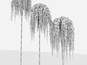 plant46 3D Model