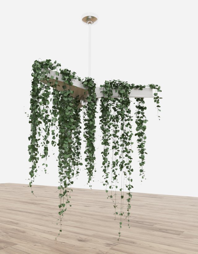 plant49 3D मॉडल .c4d .max .obj .3ds .fbx .stl .blend 