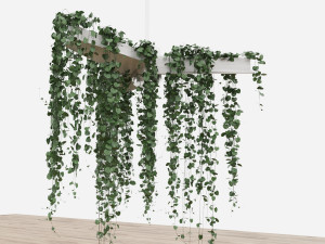 plant49 3D Model