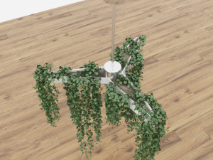 plant49 3D मॉडल