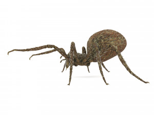 spider 3D Модель