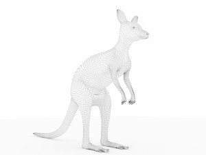 kangaroo Modelo 3D