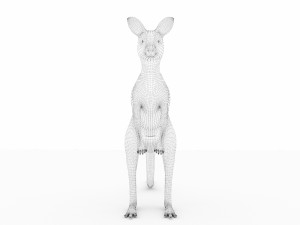 kangaroo Modelo 3D