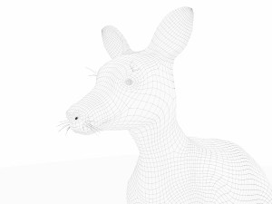 kangaroo Modelo 3D