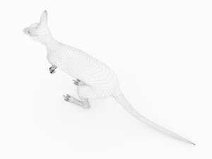 kangaroo 3D Model