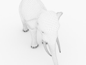 elephant 3D मॉडल