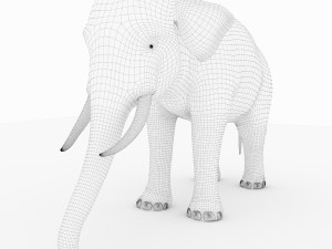 elephant 3D मॉडल