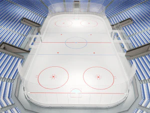 hockey arena 3D Model