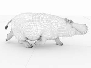 hippopotamus 3D Model