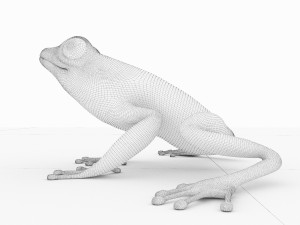 frog Model 3D